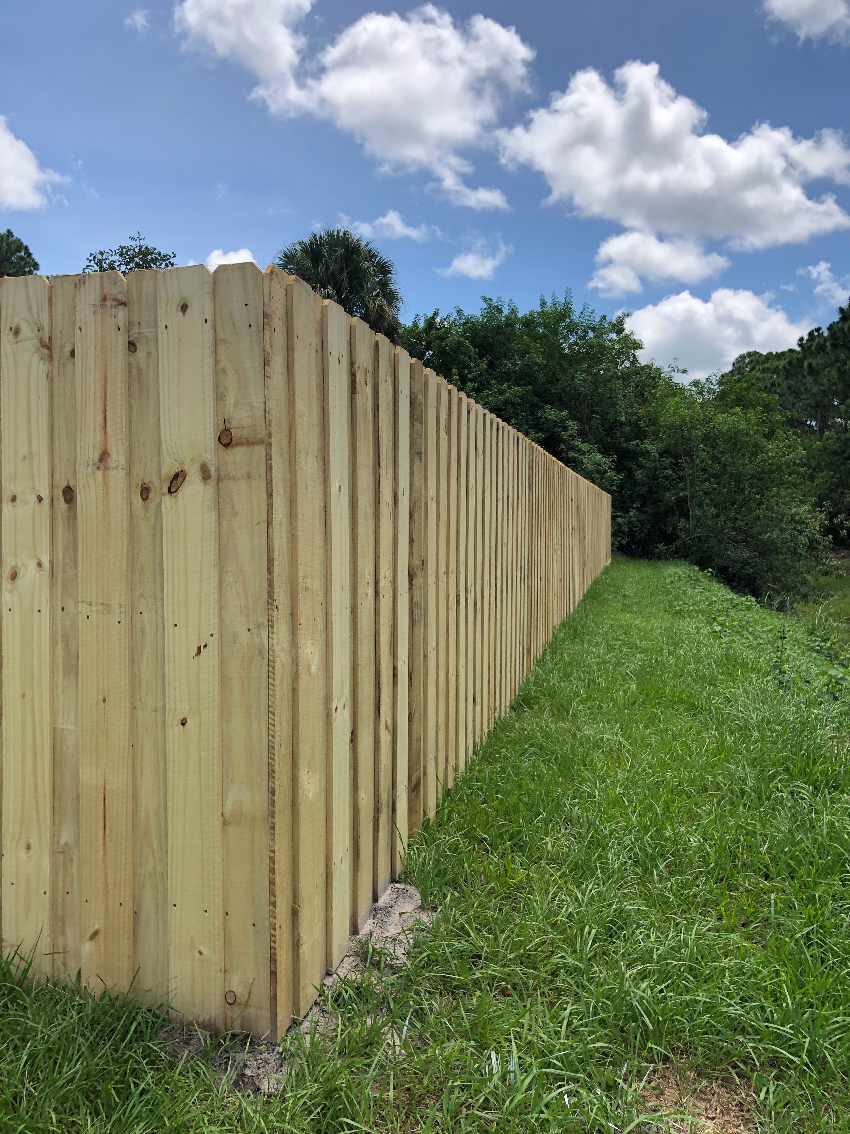 Board on board privacy wood fence
